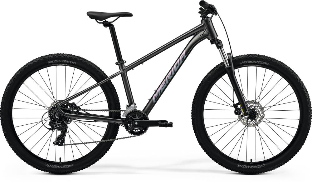 Big Seven 15 2026 version
